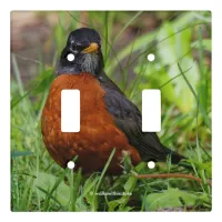 Curious American Robin Songbird in the Grass Light Switch Cover