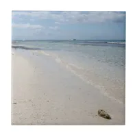 Isla Saona - Caribbean Beach with Seashell Ceramic Tile