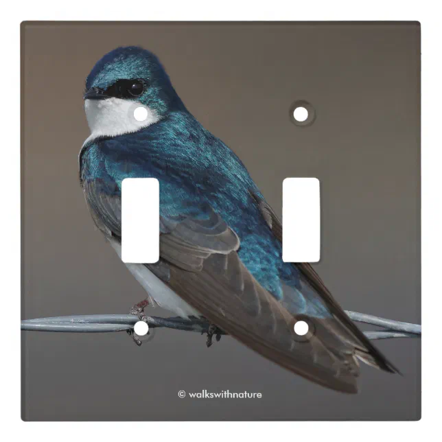 Handsome Tree Swallow Songbird on a Wire Light Switch Cover