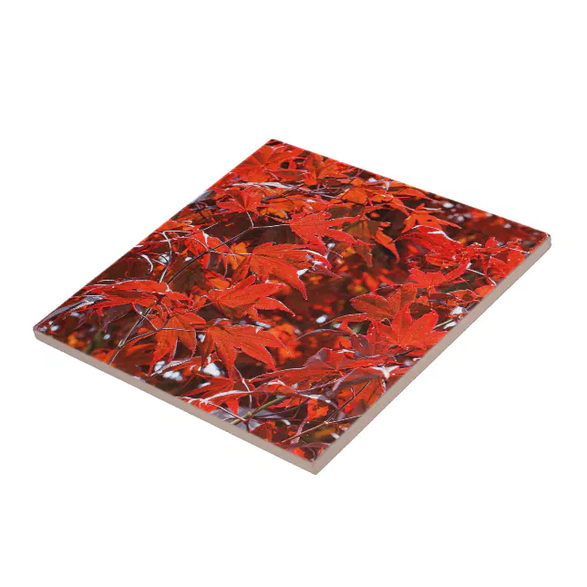 Elegant Red Japanese Maple Leaves Ceramic Tile
