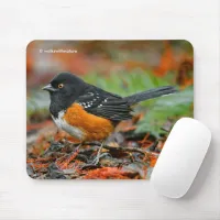 Spotted Towhee Sparrow in Autumn Leaf Litter Mouse Pad