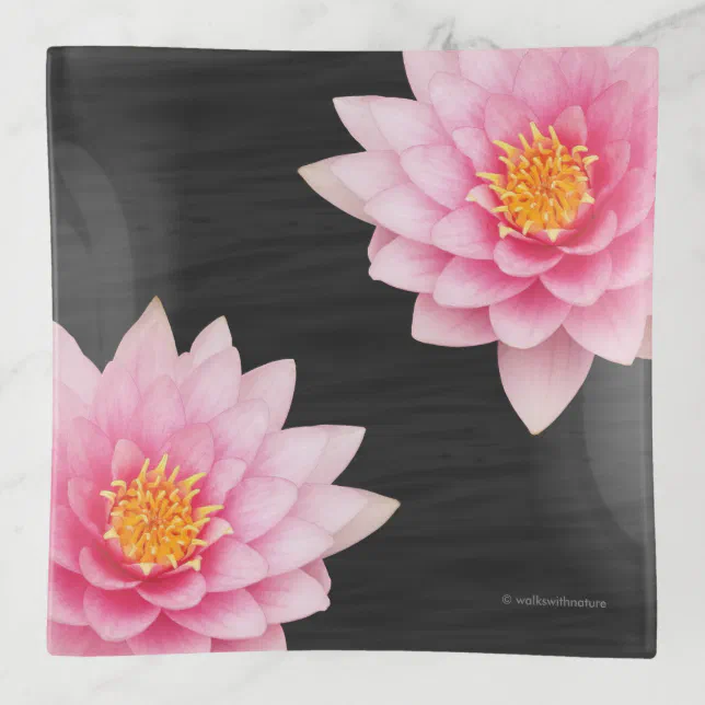 Elegant Floating Pink Lotus Flowers Trinket Tray
