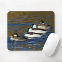 Getting My Ducks in a Row: Four Buffleheads Mouse Pad