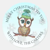 Christmas Owl sitting on Branch Holiday Classic Round Sticker