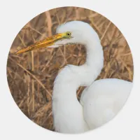 Elegant Great Egret in the Reeds Classic Round Sticker