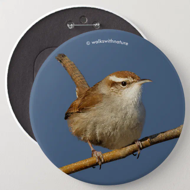 A Curious Bewick's Wren in the Tree Button