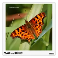 Beautiful Orange Satyr Comma Butterfly Wall Decal