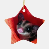 Sugar Glider in Orange Hanging Bed Ceramic Ornament