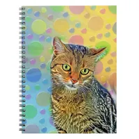 Cute kitten - abstract - colorful painting notebook