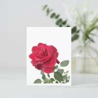 Red Rose Painting Postcard