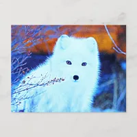 *~* Twigs AP18 Snow Fox White Arctic Polar Fox Postcard