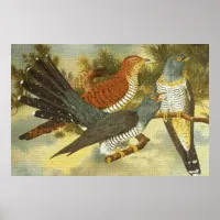 Cuckoo Birds with Modern Art Poster