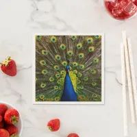 Colorful peacock napkins