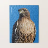 Magnificent Red-Tailed Hawk in the Sun Jigsaw Puzzle
