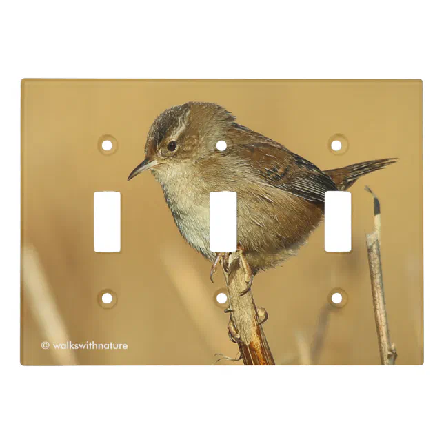 Profile of a Beautiful Marsh Wren Songbird Light Switch Cover