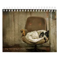 Street Dogs Calendar