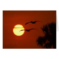 Pelicans at Sunset Blank Photo Greeting Card