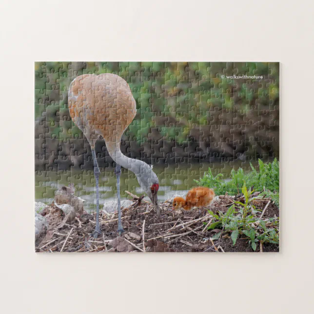 Greater Sandhill Crane Father and Child Jigsaw Puzzle