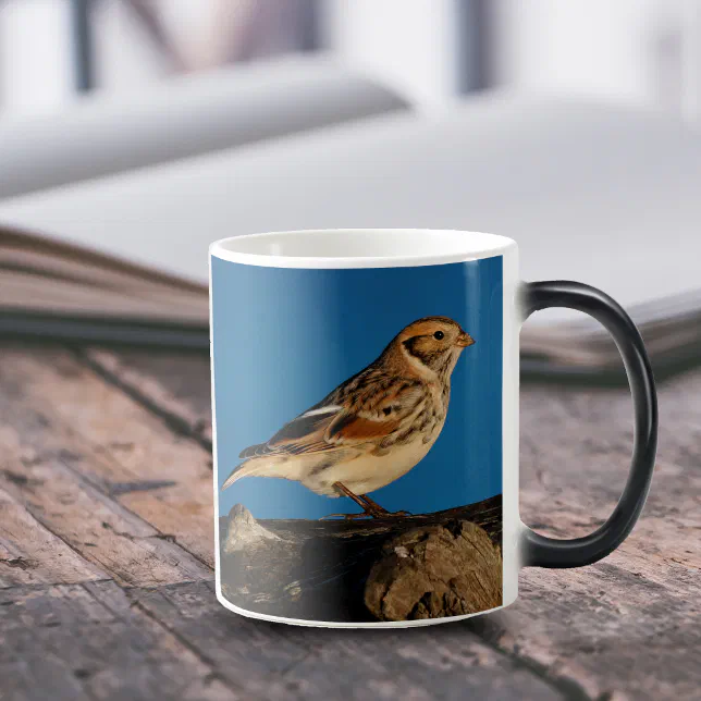 Lapland Longspur on a Sunlit Log Magic Mug