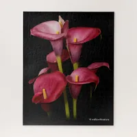 Elegant Purple Calla Lilies Jigsaw Puzzle