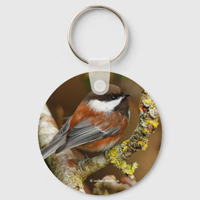 Cute Chestnut-Backed Chickadee on the Pear Tree Keychain