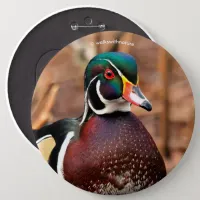 Beautiful Male Wood Duck in the Woods Button