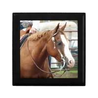 Western Horse Gift Box