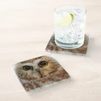 Cute Little Northern Saw Whet Owl Glass Coaster