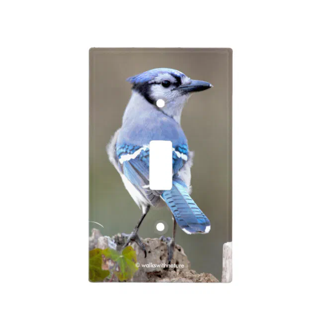 Cute Blue Jay Songbird on Treestump Light Switch Cover