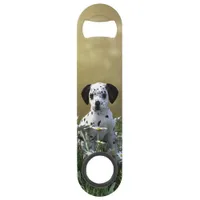 Cute Dalmatian Puppy in Daisies Bar Key