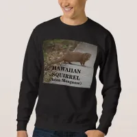 Hawaiian Squirrel (Asian Mongoose) Mens Sweatshirt