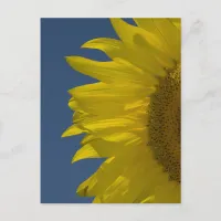 Vertical Sunflower   Postcard