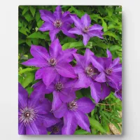 Pretty Purple Flowers  Plaque