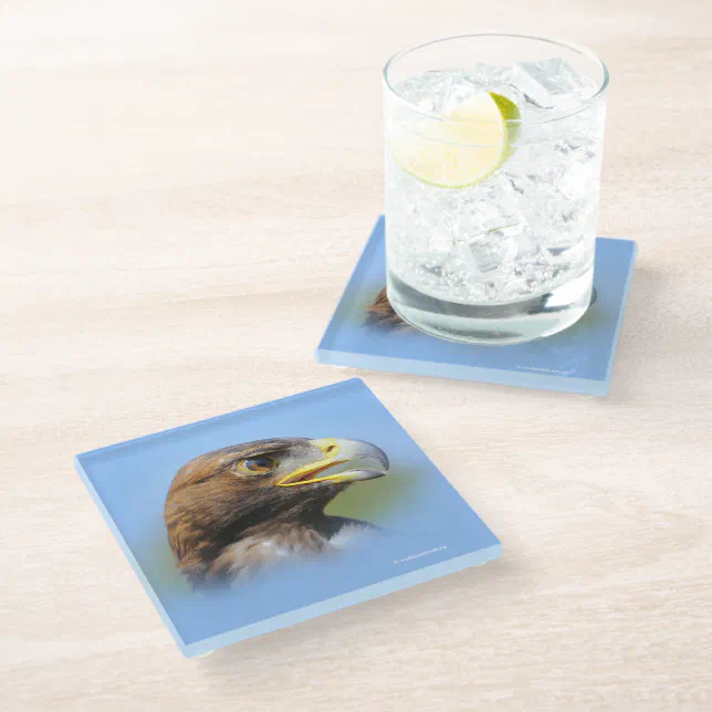 Vision of a Beautiful Young Golden Eagle Glass Coaster