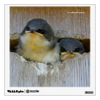 Cute Baby Tree Swallow Songbirds in Nestbox Wall Decal