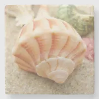 Striped Sea Shell Lightning Whelk Stone Coaster