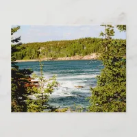 Arcadia National Park Through the Trees Postcard