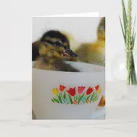 Duck in a Teacup 2 Card