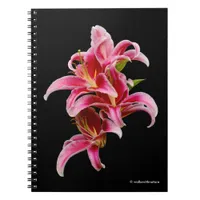 Elegant Pink Oriental Lilies Notebook