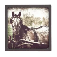 Appaloosa Horse Gift Box