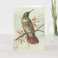 Vintage Hummingbird, Birthday Card