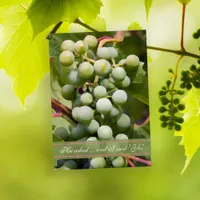 Green Grapes Vineyard Engagement Party Invitation