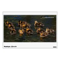 Twelve Mallard Ducklings Holding Formation Wall Decal