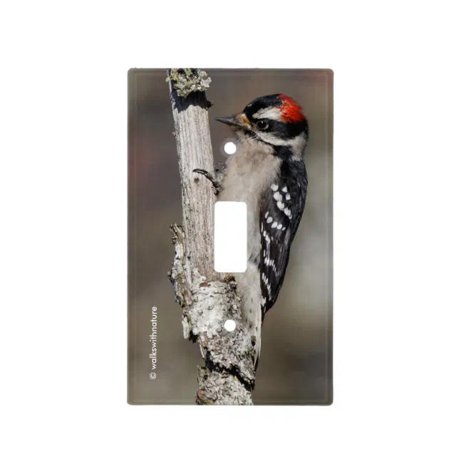 Profile of a Male Downy Woodpecker Light Switch Cover