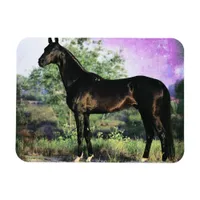 Akhal-teke Stallion Magnet