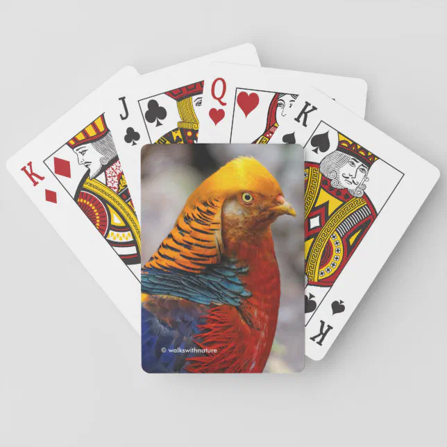 Stunning Profile of a Red Golden Pheasant Gamebird Poker Cards