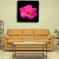 Felt Rose Canvas Print