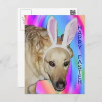 Funny German Shepherd Dog & Easter Bunny Ears Holiday Postcard