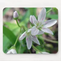 Wildflower Mouse Pad