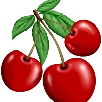 Red Cherries Designs